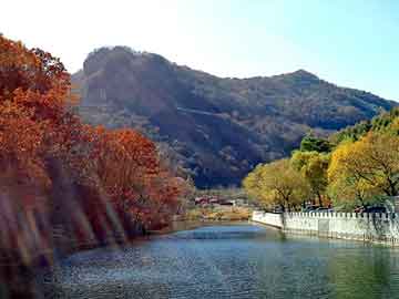 澳门二四六天天彩图库，沈阳制博会